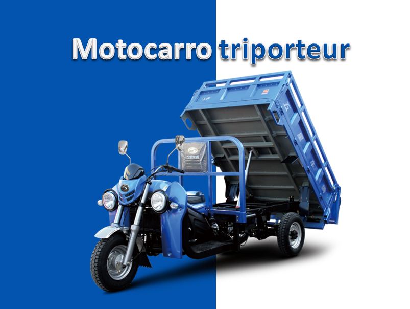 Motocarro triporteur carguero-300CC_海外
