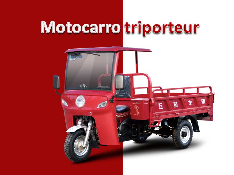 Motocarro triporteur carguero-250CC_海外