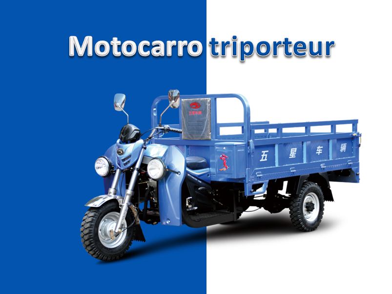 Motocarro triporteur carguero-200CC_海外