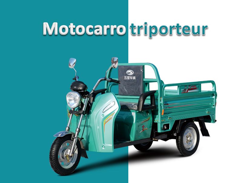 electric tricycle-family usage_海外