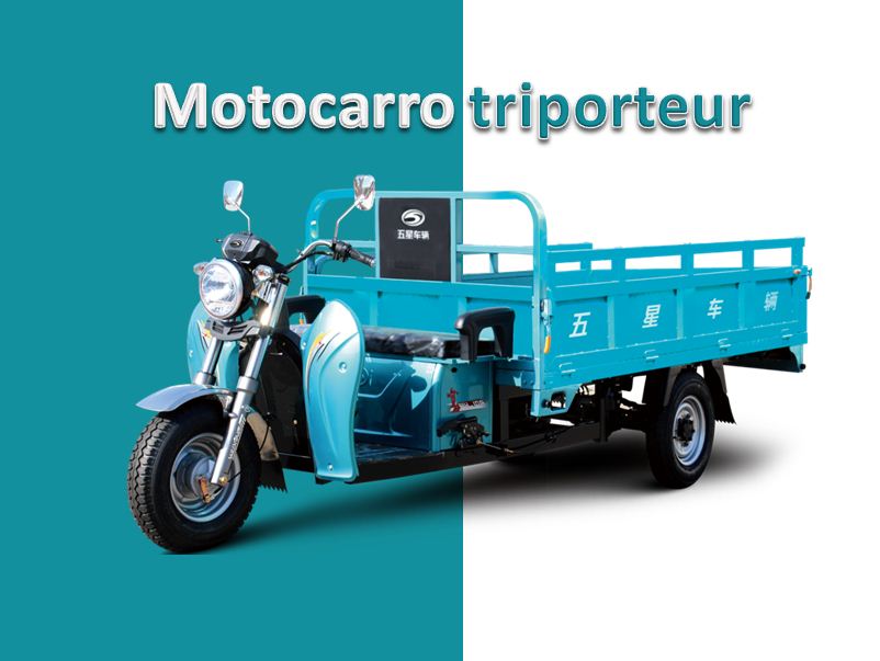 electric tricycle-family usage
