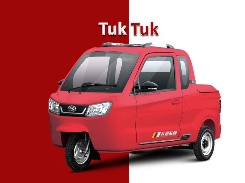 Motocarro triporteur carguero-pickup_海外