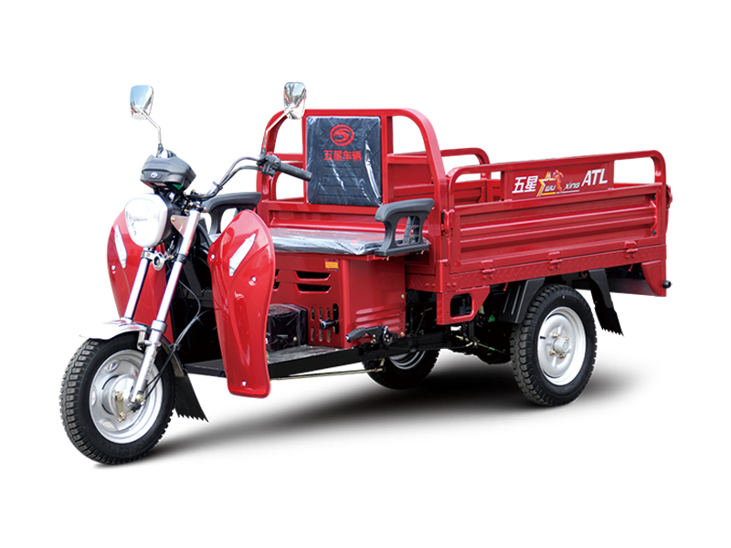 110ZH-T13(GA)_三轮摩托车